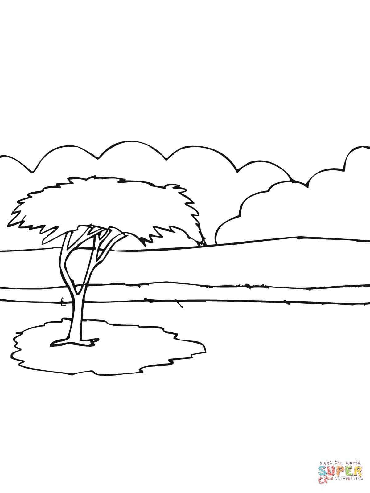 Árbol de acacia africana