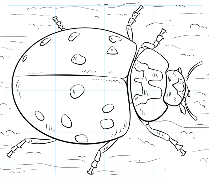 Kaip nupiešti ladybug