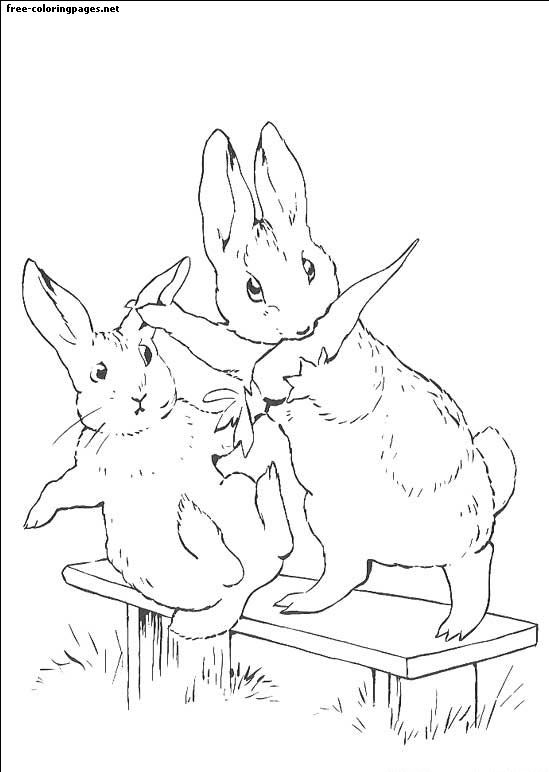 Pagina de colorat de Peter Rabbit