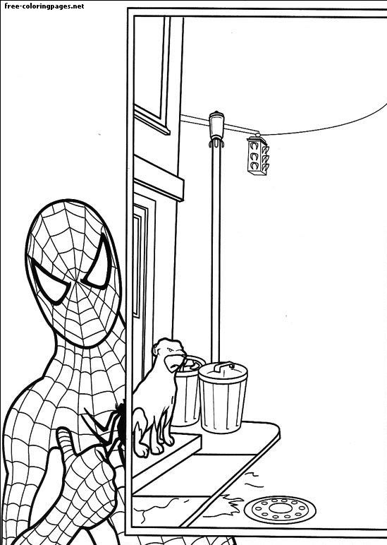 Spiderman fargeleggingsside