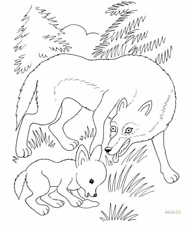 Madre lobo y cachorro de lobo